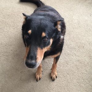 Meet your Posher, Clay